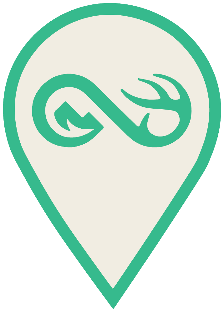 access pin