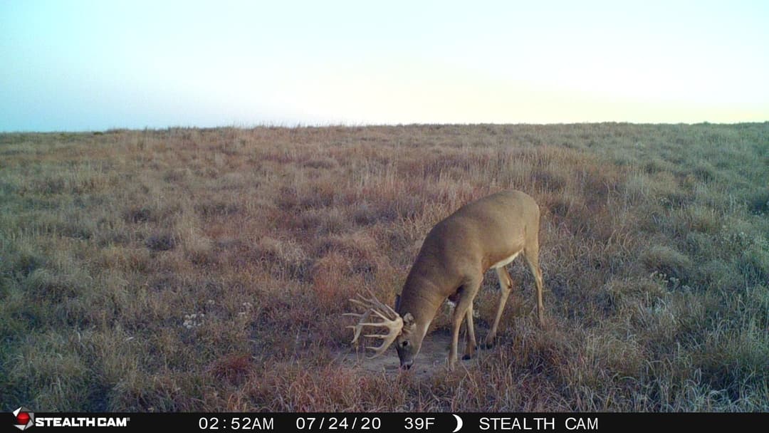 Top 7 Mistakes Hunters Make in November—and How to Avoid Them